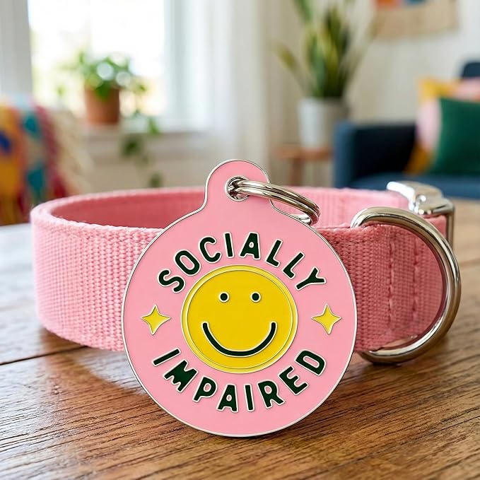 Bad Tags Personalized Dog and Cat ID Tags in 25+ Designs and 2 Sizes - 5 Lines of Custom Engraved Text - Funny Cute Personalized Pet Tags (Socially Impaired - Pink, Small (1 inch))