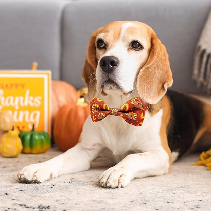 Thanksgiving Dog Collar with Bow Tie Set, Holiday Turkey Pattern Pet Collar for Small Medium Large Dogs, Cute Adjustable Puppy Collar with Quick Release Buckle
