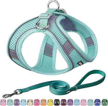 AIITLE Small Harness for Puppy with A Leash - Dog Vest Harness with Super Breathable Mesh, Reflective No-Pull Pet Harness for Outdoor Walking, Running for Small Dogs, Cats Pure Turquoise XXS