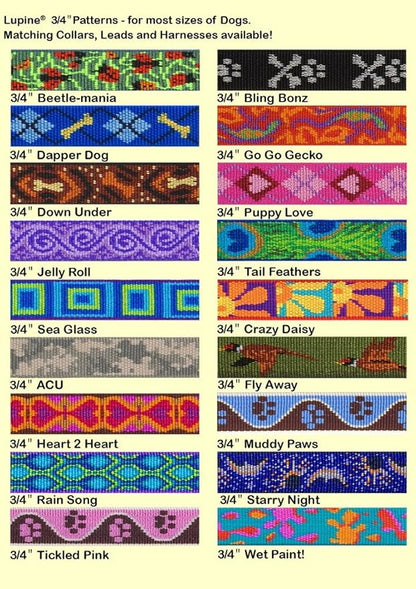 LupinePet Originals 3/4" Sea Glass 9-14" Adjustable Collar for Small Dogs