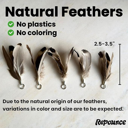 Feather Toys Replacements (9 Pc) - Cat Toys & Kitten Toys for Indoor Kittens, Set of Replacement Feather Attachments Extra Small and Durable, for Cat Wands, Natural and Safe, Cat Lures