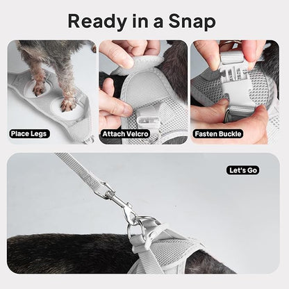 PetiFine Cat Harness and Leash Set,Escape Proof Kitten Harness Reflective,Soft Lightweight Puppy Harness for Walking and Travelling(XXS, Grey)
