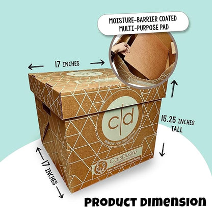 Cats Desire Litter Box - Disposable Litter Boxes for Cats (3 pcs) - Top/Low Entry & Enclosed Box - Teal on Natural Brown, Partially Recycled Cardboard, 17" L x 17" W x 15.25" H