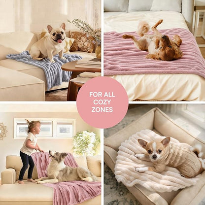 LINENLUX 1 Pack 3 Soft Dog Blanket Washable Warm Fleece Cat Blankets for Pet Puppy Fluffy Calming Flannel Beige/Pink/Grey Medium