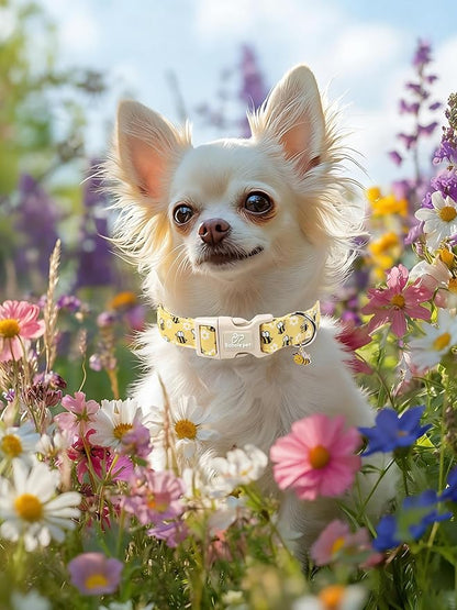 Bee & Daisy Dog Collar for Large Dogs - Spring/Summer Cartoon Yellow Dog Collars, Lightweight Adjustable Male Female Dogs Collars with Quick Release Buckle L