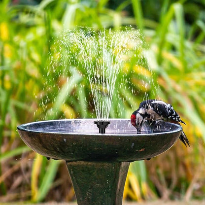 Biling 7.5W Solar Water Pump Outdoor, Solar Pond Pump Solar Fountain with DIY 5ft Tubing for Samll Ponds, Garden Pool and Bird Bath