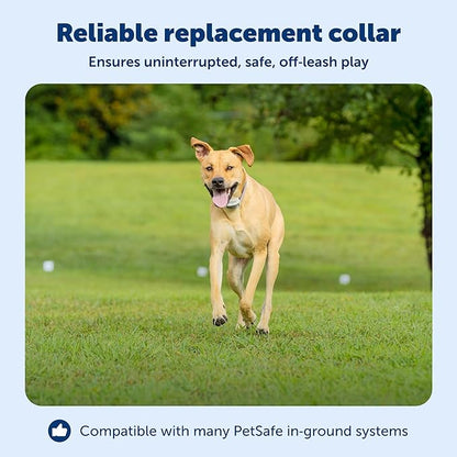 PetSafe Classic In-Ground Fence Rechargeable Receiver Collar for Dogs and Cats - from The Parent Company of Invisible Fence Brand - 7 Levels of Adjustable Static Correction - for Pets 5 lb and Up