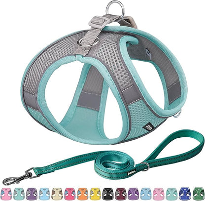 AIITLE Step in Dog Harness and Leash Set - No Pull Escape Proof Vest Harnesses with Soft Mesh and Reflective Bands, Adjustable Pet Outdoor Harnesses for Small and Medium Dogs Turquoise M