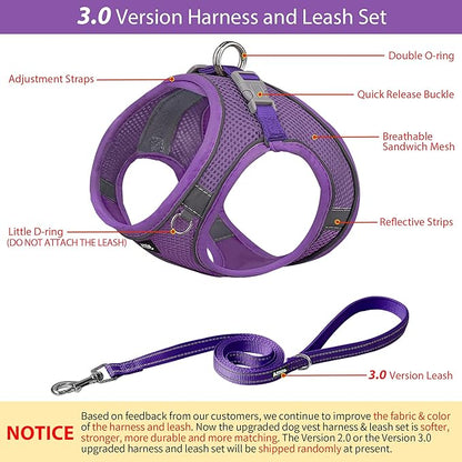 AIITLE Escape Proof Dog Harness - Step in Adjustable Dog Harness No Choke Over with Breathable Mesh and Quick-Release Buckle for All Weather- Outdoor Walking, Training for Medium Dogs Pure Purple XL