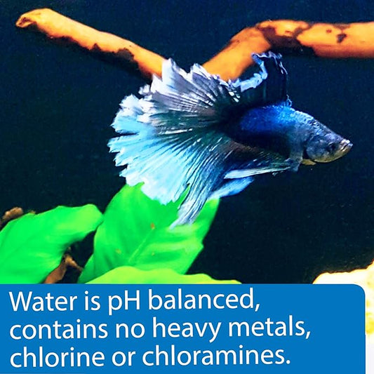 API Betta Water, 64 OZ