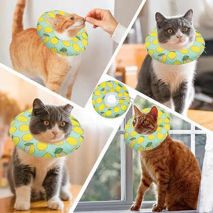 Cat Cone Collar Soft, Adjustable Cat Recovery Collars to Prevent Licking, Cute Donut E Collar After Surgery, Wound Healing Elizabethan Collar for Kittens(Green Lemon, Large)