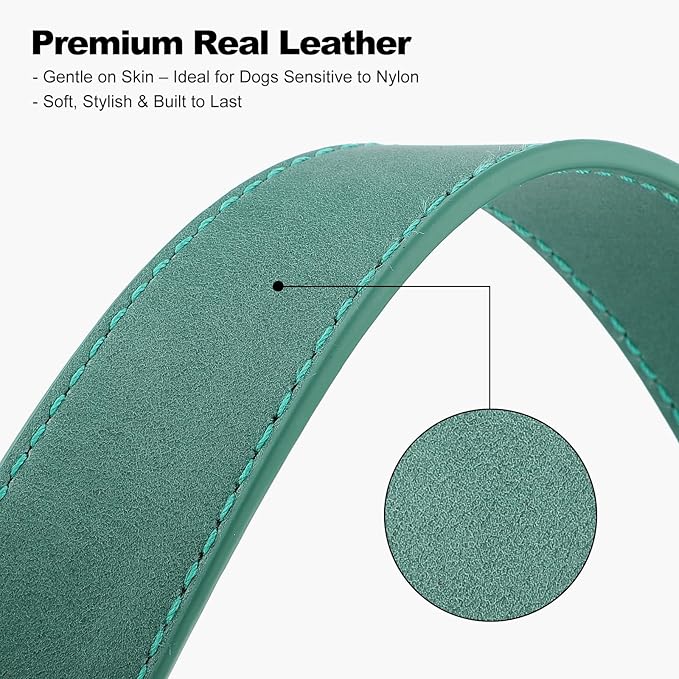 Plutus Pet Genuine Leather Dog Collar – Adjustable Pet Collar with Quick Release Metal Buckle, Soft Real Leather for Small Medium Large Dogs, Heavy Duty & Skin-Friendly (Green, XS)