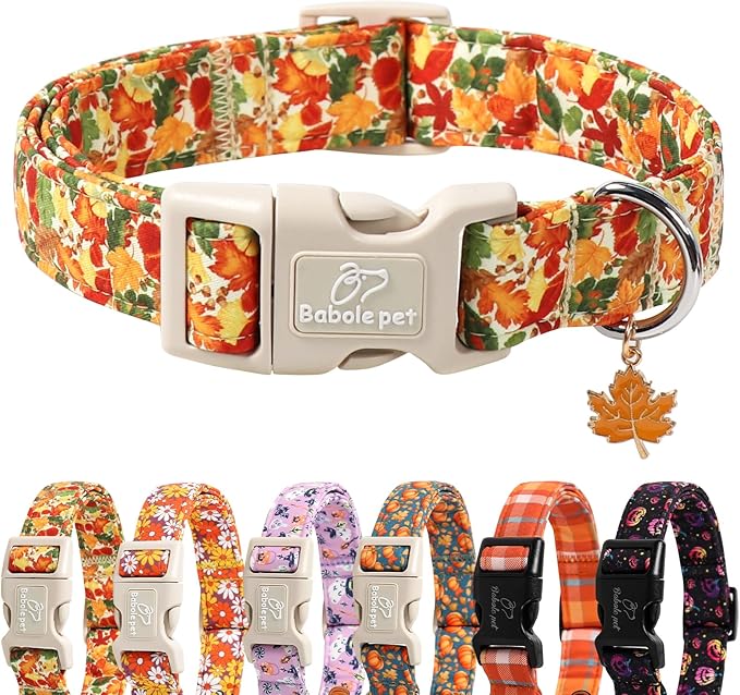 Fall Dog Collar Cute Autumn Leaves Puppy Collar - Light Comfortable Adjustable Pet Collars for Small Medium Large Girl Boy Dogs S