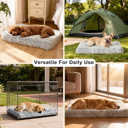 Fluffy Orthopedic Dog Beds for Puppy/Cats with Washable Removable Cover Dog Crate Bed Egg Crate Foam Support Plush Pet Pad Mat with Anti-Slip Bottom (24 * 16,Dark Grey)