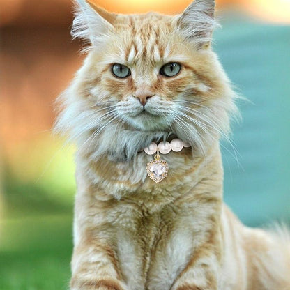 2pcs Cat Pearl Collar with Heart Pendant, Cute Pearl Pet Necklace in Small, Adjustable Wedding Party Small Dog Jewelry Accessories for Puppy Kitten- White & Purple