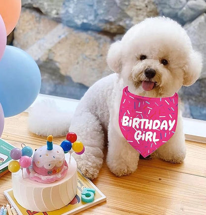 Birthday Girl Dog Bandanas 1 Pack, Pink Dog Scarfs for Puppy, Pet Scarves HBD Bandanas for Small Medium Large Dogs (Birthday Girl, One Size)