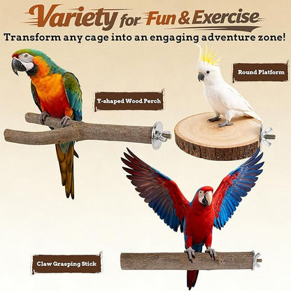 6 PCS Bird Perch Set, Natural Birch Wood Straight & Forked Perches with Platforms for Parakeets, Cockatiels, Conures, Lovebirds - Cage Accessories for Climbing & Exercise