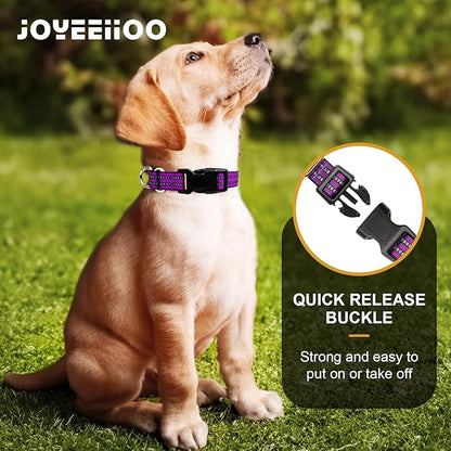 Martingale Dog Collar, Adjustable Nylon Reflective Collar with Quick Release Buckle (Real Purple, Medium)