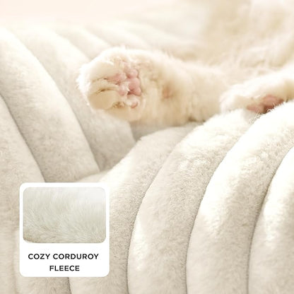 Bedsure ComfyFleece™ Cute Cat Couch for Pets - As Seen on TV on Good Day New York, Fuzzy Cats beds for Indoor Cats with Removable Washable Cover, Supportive Pet Sofa, 24inch, Cream