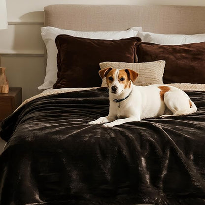 gogobunny Waterproof Bed Blanket, Reversible Sherpa Fleece Throw Blanket for Dog Puppy Cat, Furniture Cover Protects Bed Couch Sofa from Liquid Pee and Pet Fur (Dark Brown, 60x80 inches)