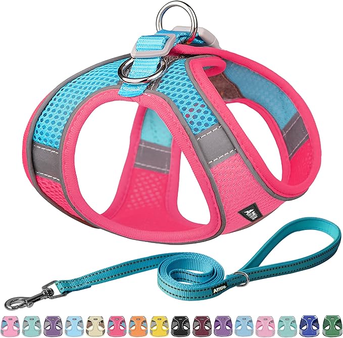 AIITLE Small Harness for Puppy with A Leash - Dog Vest Harness with Super Breathable Mesh, Reflective No-Pull Pet Harness for Outdoor Walking, Running for Small Dogs, Cats Hot Pink XXS