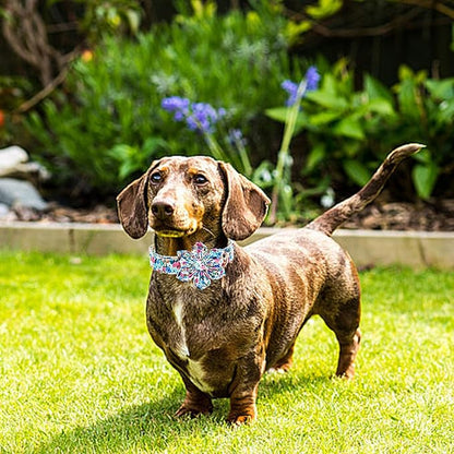Lionheart Glory Floral Dog Collar with Flowers - Soft, Durable & Adjustable for Small Dogs