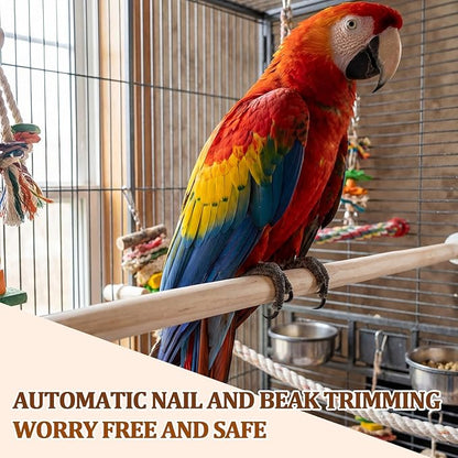 Sintuff 8 Pcs Bird Perches for Cage Accessories, Wooden Perch Rods Replacement with Double Head Slots, 0.6 Inch Diameter Natural Wood Stand for Parrot Macaw Cockatoo Parakeet(30 Inches)