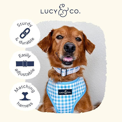 Lucy & Co. Dog Collar - Durable Lightweight Designer Collar for Pets - Adjustable Metal Safety Buckel - Medium - White with Blue Bows