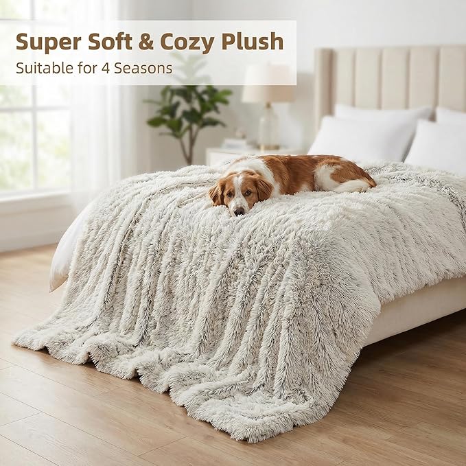 PJYuCien Dog Blankets for Medium Large Dogs Washable - Fluffy Fuzzy Cat Blanket for Couch, Puppy Throw for Furniture with Polyester Fleece, Super Soft Plush for Pet Kitten Doggy, Grey, 50" x 60"