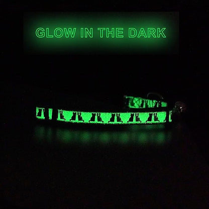 Pawtitas Glow in The Dark Cat Collar with Breakaway Safety Buckle & Bell Adjustable Kitten Collar, Black