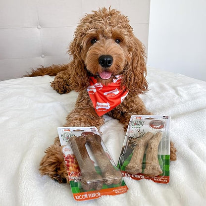 Nylabone Healthy Edibles WILD Natural Dog Chew Treats for Large Dogs, Long Lasting Dog Healthy Chew Antler Bone Made in USA, Venison Flavor, For Dogs Up to 50 lbs. (10 Count)