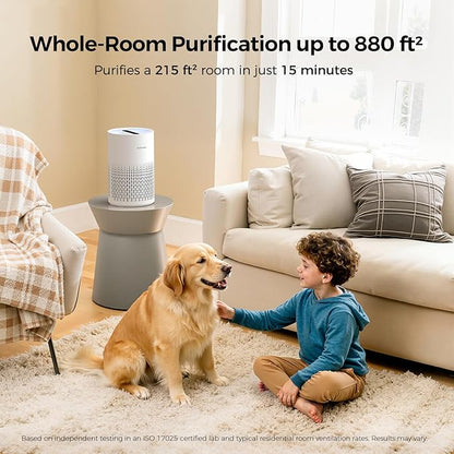 Purivortex Air Purifiers for Home, Quiet HEPA Air Filter for Pollen, Smoke, Dust, Pet Dander, Odor, Hair, Covers Up to 880 Sq Ft, PX500 White