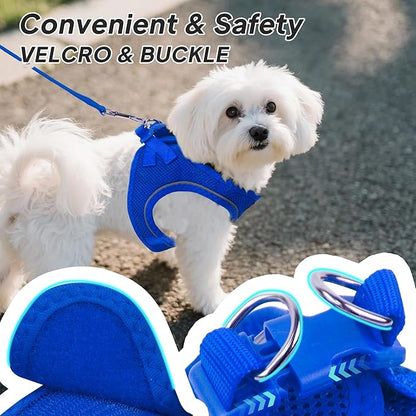 PetiFine Step in Small Dog Harness and Leash Set, Breathable All Weather Air Mesh Reflective Escape Proof, Step-in Vest Harnesses for Puppy(S, Baby Blue)