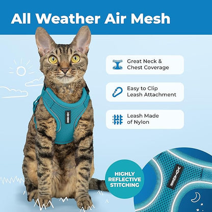 Voyager Escape-Proof Step-in Lock Cat Harness & 5ft Neoprene-Handle Leash Set All-Weather Mesh with Reflective Stitching for Small to Large Cats by Best Pet Supplies, Turquoise (327), XXS