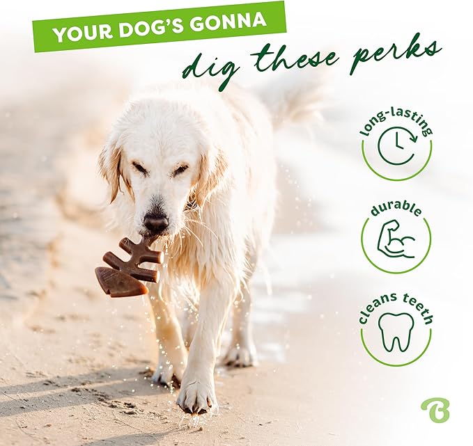 Benebone Fishbone Durable Dog Chew Toy for Aggressive Chewers, Real Fish, Made in USA, Small