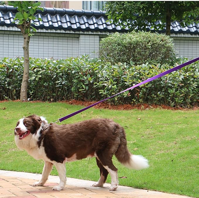 AMAGOOD Dog/Puppy Obedience Recall Training Agility Lead-15 ft 20 ft 30 ft 50 ft Long Leash-for Dog Training,Tie Out,Play,Safety,Camping (20Feet x 1Inch, Purple)
