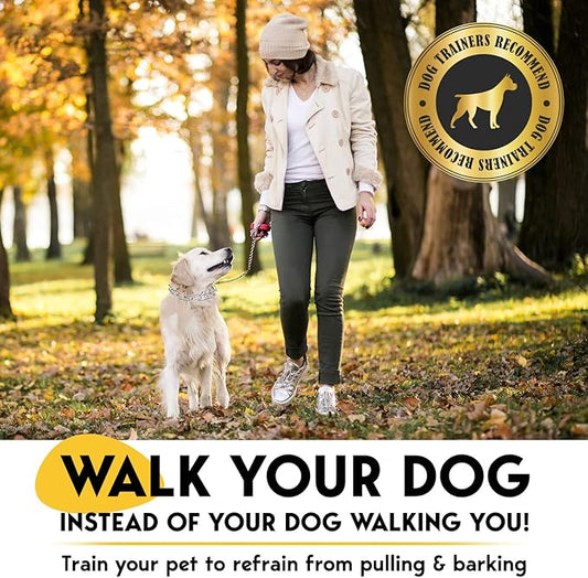 PetJett ProTrainer Prong Collar for Dogs - Choke Collar for Dogs, Pinch Collar for Dog Adjustable No Pull Training Collar for Small Medium Large Dog - Safety Durable Stainless Steel Metal Choker Chain
