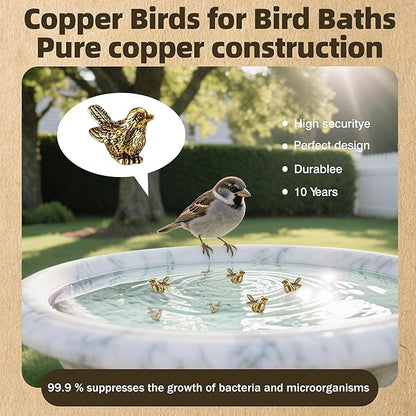 6 Pcs Copper Bath Disks Ornaments Mini Bird Shape, Retro Copper Birdbath Purification Cleaner, Fit for Outdoor Birdbaths, Bowls