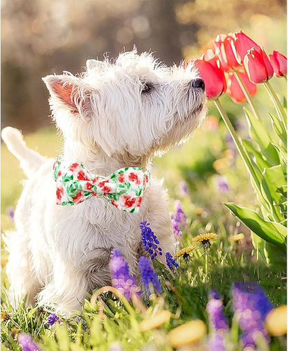 Lionheart glory Dog Collar Bow Collar Floral Dog Collar with Bow Tie Spring Summer Cute Collar Dog Boy or Girl Dog Collars Soft Durable Adjustable Dog Collars for Small Dogs