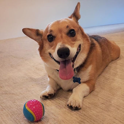 SPOT Sensory Ball for Soft Chewers - Stimulates All 5 Senses, Bell & Squeaker Sounds, Raised Nubs Clean Teeth, High Contrast Fetch Toy, Beef Scented, Durable TPR Rubber Ball, 2.5-inch