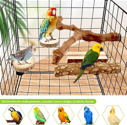 8PCS Natural Grape Wood Bird Perch Set - Parrot Cage Stand with Paw Grinding Forks, Chewing Sticks & Exercise Branches for Parakeets, Cockatiels, Conures, Budgies, Finches