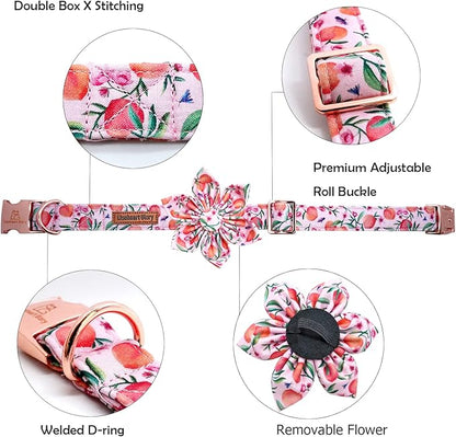 Lionheart Glory Pink Peach Dog Collar with Flower Bow for Small Dogs