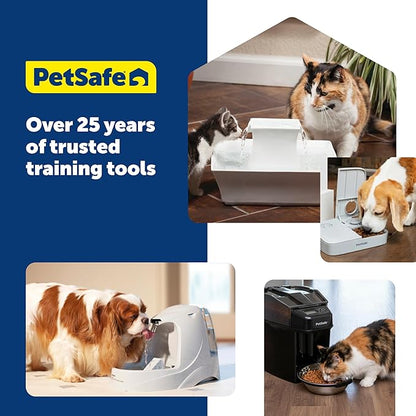 PetSafe Viva Pet Fountain - Encourages Healthy Hydration - Automatic Water Dispenser with Double Filtration - Ultra Quiet Water Fountain - Easy to Assemble & Clean - Stainless Steel - 64 oz