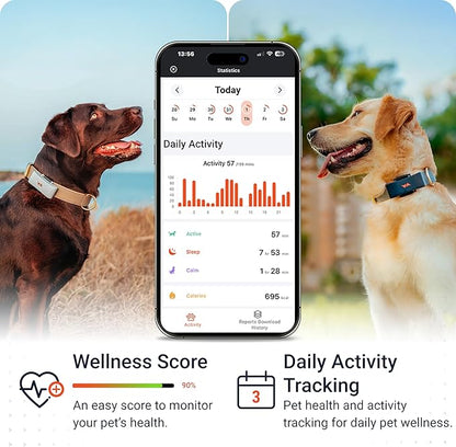 PAJ GPS Dog Tracker - 4G Real-Time Tracking & Runaway Alerts - Waterproof, Long-Range, Smart App Monitor Health & Activity - Fits Any Collar, Mini Device Navigator Chip - Subscription Required - Blue