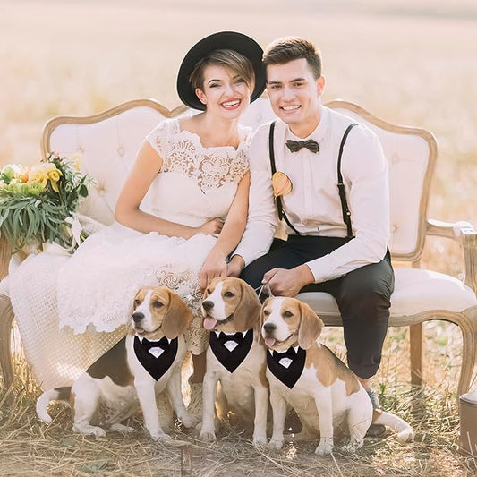ADOGGYGO Formal Dog Tuxedo, Wedding Dog Collar with Bow Tie, Adjustable Pet Wedding Collar Bandana for Small Medium Large Dogs (Medium, Black)