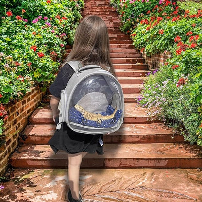 Bearded Dragon Carrier Backpack with Security Printing Harness Set, Reptile Lizard Travel Carrier (Black, Mommy Harness)