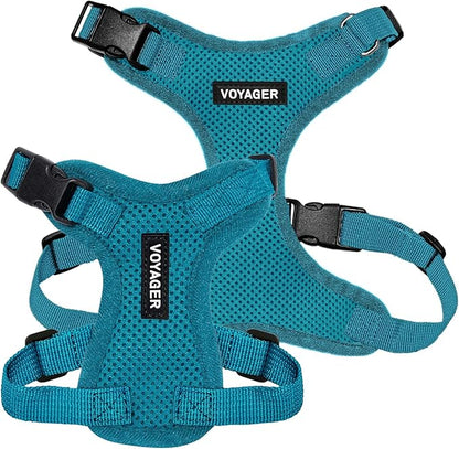 Voyager Step-in Pet Harness - All Weather Mesh, Adjustable Step in Harness for Cats and Dogs by Best Pet Supplies - Turquoise, S
