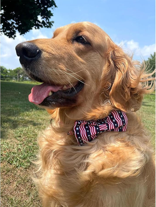 Lionheart glory American Flag Dog Collar, 4 of July Dog Bow Collar Heavy Duty Adjustable Patriotic Dog Collar with Bowtie for Large Dogs Pet Gift