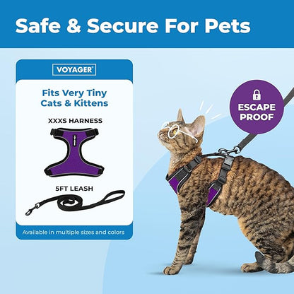 Voyager Escape-Proof Step-in Lock Cat Harness & 5ft Neoprene-Handle Leash Set All-Weather Mesh with Reflective Stitching for Small to Large Cats by Best Pet Supplies, Black Trim-Purple (327), XXXS