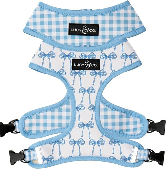 Lucy & Co. Cute Reversible Dog Harness Walking Halter - Best Designer Pet Harnesses for XS - XL Dogs - Padded Adjustable Vest for Easy Walking - X Small - White with Blue Bows